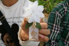 55世纪-购彩大厅welcome(中国游)官方网站