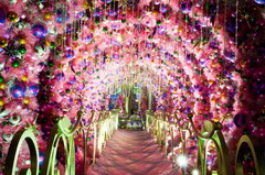 55世纪-购彩大厅welcome(中国游)官方网站