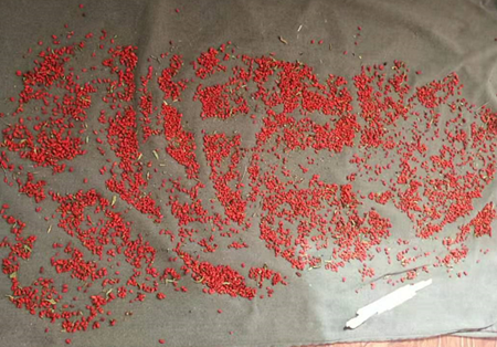 55世纪-购彩大厅welcome(中国游)官方网站