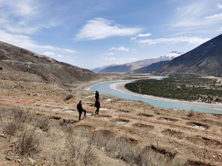 55世纪-购彩大厅welcome(中国游)官方网站