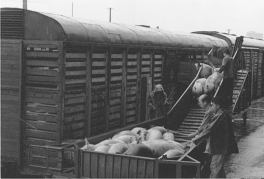 55世纪-购彩大厅welcome(中国游)官方网站