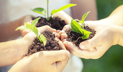 55世纪-购彩大厅welcome(中国游)官方网站