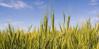 55世纪-购彩大厅welcome(中国游)官方网站