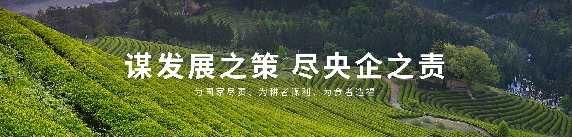 55世纪-购彩大厅welcome(中国游)官方网站